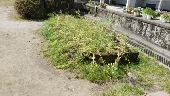 Dsc_2105_170x96_2