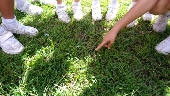 Dsc_2337_170x96_2