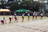 Img_0481_170x113