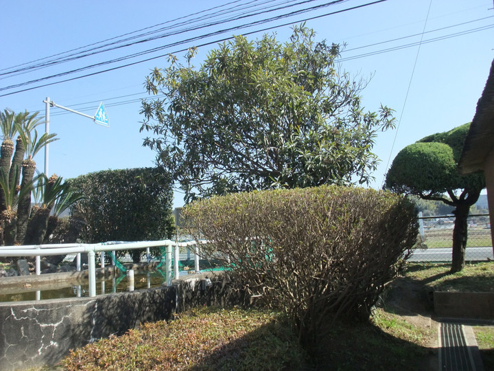 Dscf3737
